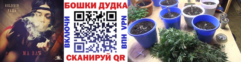 Купить наркотик Кондрово Псилоцибиновые грибы  Меф мяу мяу  ГАШИШ  Бошки Шишки 