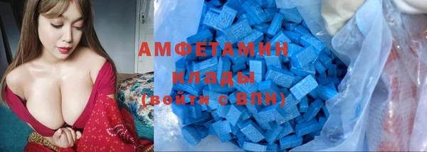 гидра Аркадак