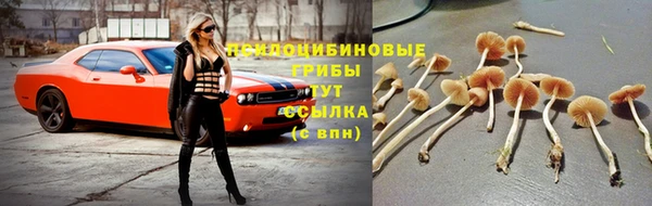 дмт Балахна