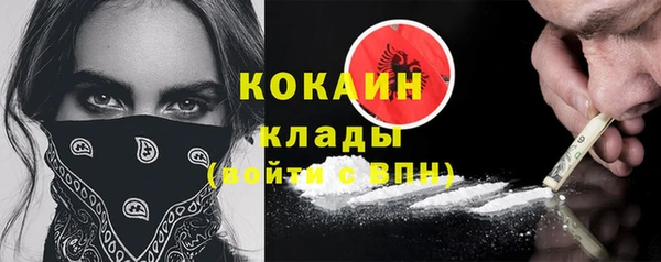 гидра Аркадак