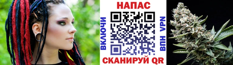 наркотики  Кондрово  маркетплейс какой сайт  Шишки марихуана Ganja  ссылка на мегу tor 